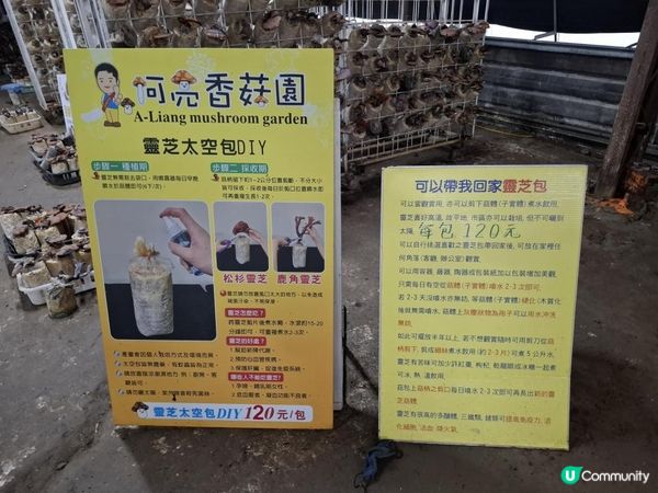 【暟。玩。樂】#72 台中深度遊 Day 4【外遊篇6】