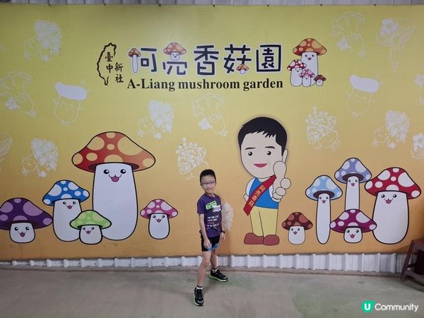 【暟。玩。樂】#72 台中深度遊 Day 4【外遊篇6】