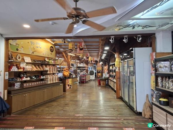 【暟。玩。樂】#72 台中深度遊 Day 4【外遊篇6】