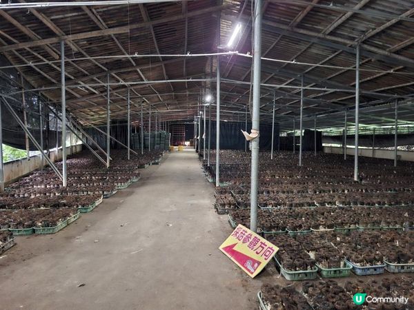 【暟。玩。樂】#72 台中深度遊 Day 4【外遊篇6】