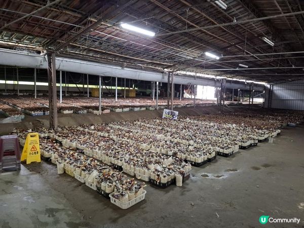 【暟。玩。樂】#72 台中深度遊 Day 4【外遊篇6】