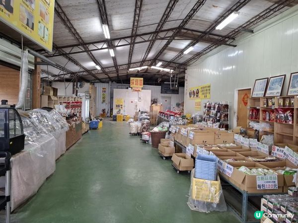 【暟。玩。樂】#72 台中深度遊 Day 4【外遊篇6】