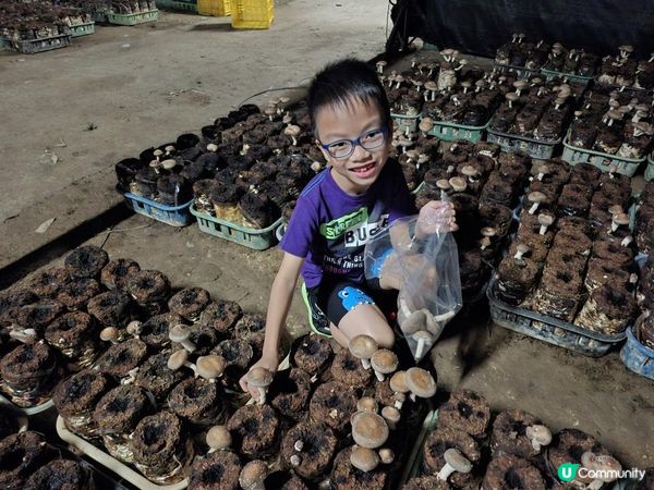 【暟。玩。樂】#72 台中深度遊 Day 4【外遊篇6】