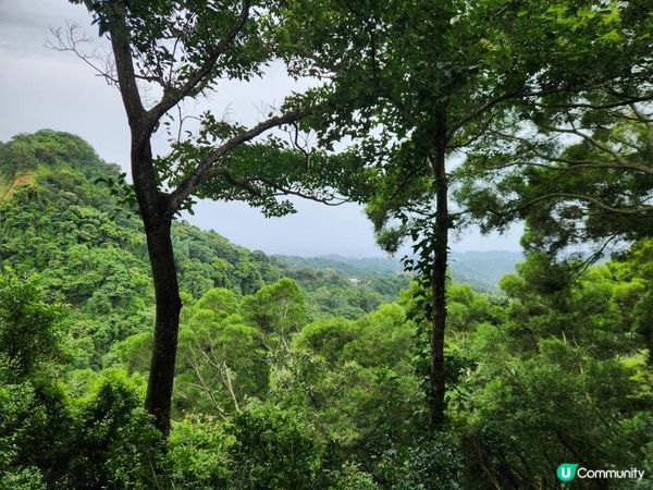 【暟。玩。樂】#72 台中深度遊 Day 4【外遊篇6】