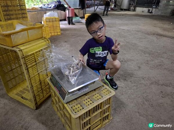 【暟。玩。樂】#72 台中深度遊 Day 4【外遊篇6】