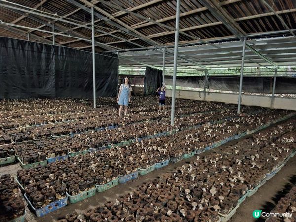 【暟。玩。樂】#72 台中深度遊 Day 4【外遊篇6】