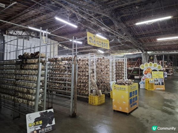 【暟。玩。樂】#72 台中深度遊 Day 4【外遊篇6】