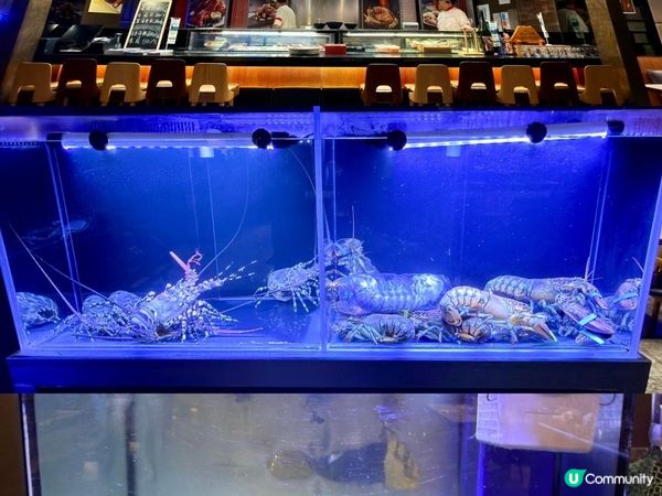 美妙的鐵上舞！