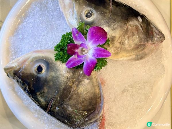 凍凍地打邊爐！