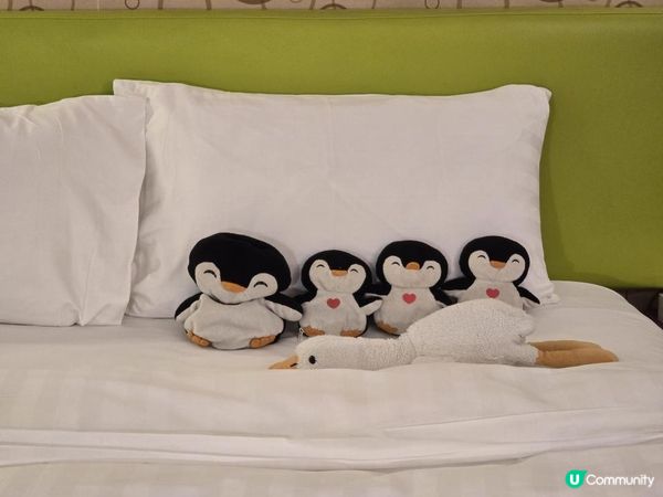 【酒店開箱】值$600？香港銀礦灣渡假酒店Staycation🏖️ 一線海景早餐✨離島好去處：梅窩慢活度攻略💫Silvermine Beach Resort Hotel｜ #真實評測｜Subtit