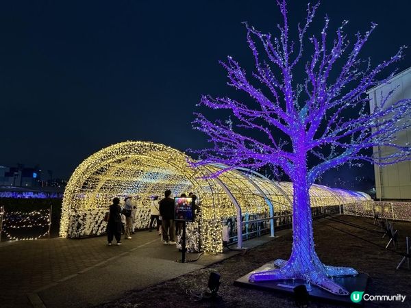 【日本東京】冬季限定必去燈光秀