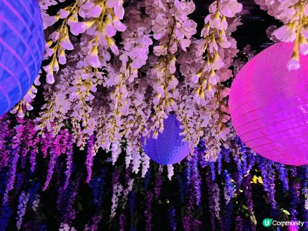 【日本東京】冬季限定必去燈光秀