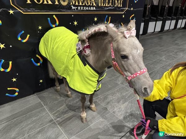 【日本東京】冬季限定必去燈光秀