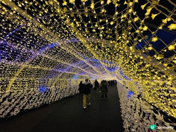 【日本東京】冬季限定必去燈光秀