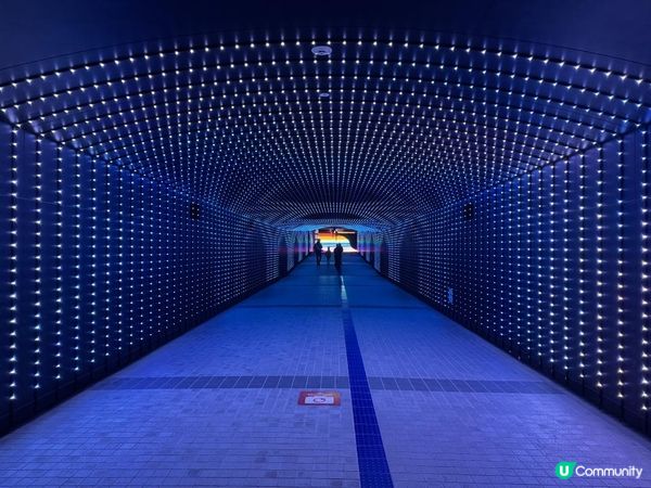 【日本東京】冬季限定必去燈光秀