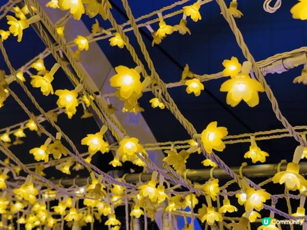 【日本東京】冬季限定必去燈光秀