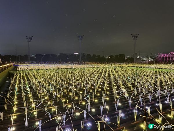 【日本東京】冬季限定必去燈光秀
