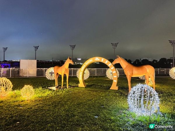 【日本東京】冬季限定必去燈光秀