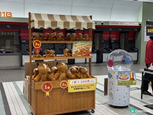 【日本東京】冬季限定必去燈光秀