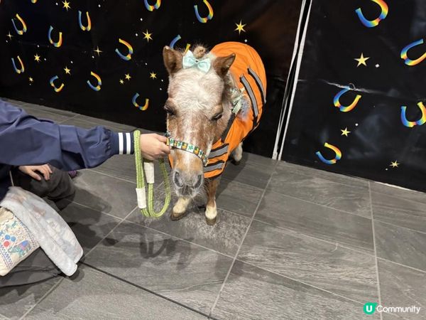 【日本東京】冬季限定必去燈光秀