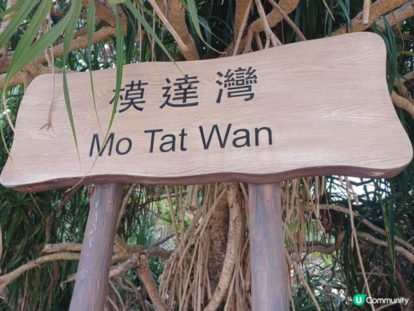 南丫島索罟灣半日遊