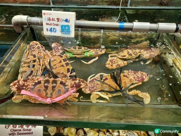 南丫島索罟灣半日遊