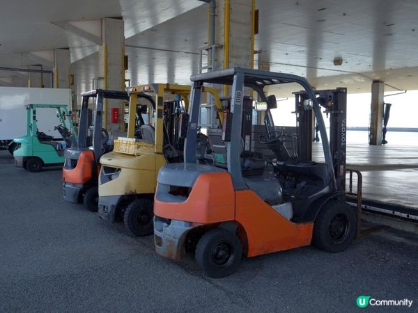 電動堆高機適合哪些產業？堆高機種類與出租方案