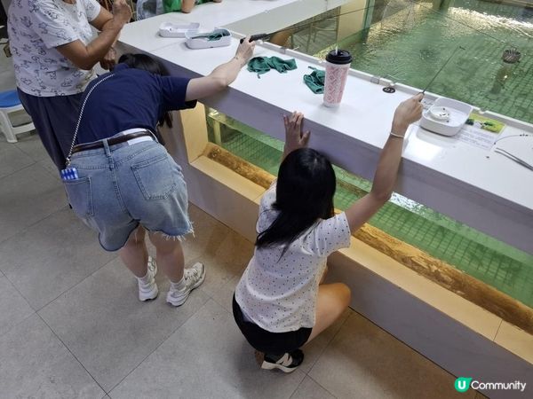 【暟。玩。樂】#73 王者釣蝦餐廳 x NEOBIO x 西塔老太太【深圳遊 6】