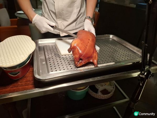 【暟。玩。樂】#73 王者釣蝦餐廳 x NEOBIO x 西塔老太太【深圳遊 6】