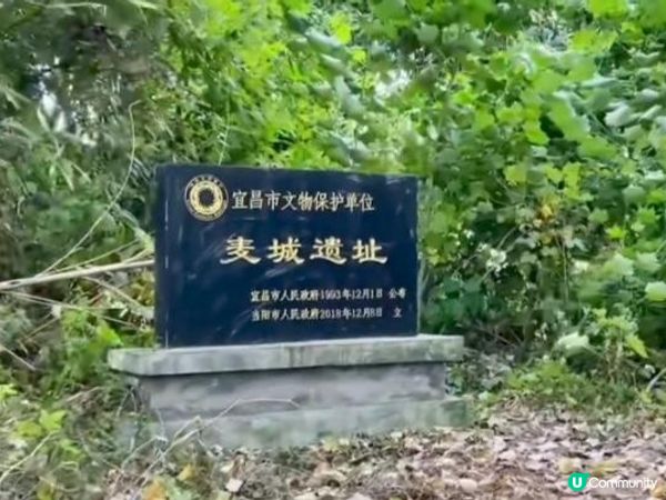 ⭕2026 荊州・襄陽・當陽・南漳 探古尋跡之旅