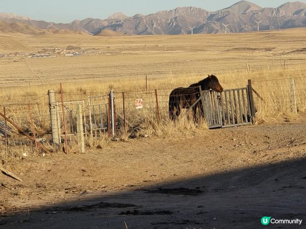 【中國自駕攻略】挑戰海拔3200米！西寧→青海湖自駕收到高原「體驗卡」：一路追著火燒雲，在牧家客棧被暖氣和羊肉治癒了！