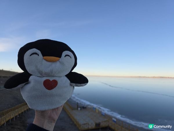 【中國自駕】犧牲流量密碼⚡來青海湖還擠二郎劍？當地人私藏的青海湖秘境，車子直達湖邊，解鎖270度炸裂全景，吃青海省特色美食——超香炕鍋羊肉｜#中國自由行 #青海湖攻略 ｜momojoejoe