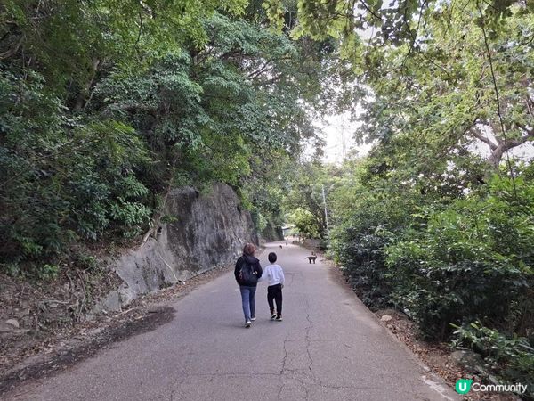 ﹝山系小達人﹞#82 城門下水塘 x 城門峽【荃灣 - 大圍】***挑戰級路線***