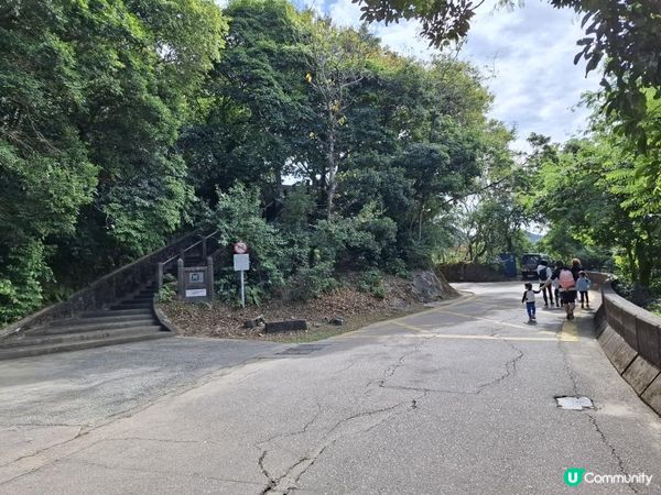 ﹝山系小達人﹞#82 城門下水塘 x 城門峽【荃灣 - 大圍】***挑戰級路線***