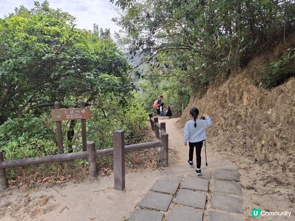 ﹝山系小達人﹞#82 城門下水塘 x 城門峽【荃灣 - 大圍】***挑戰級路線***