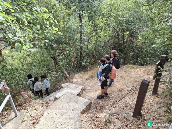 ﹝山系小達人﹞#82 城門下水塘 x 城門峽【荃灣 - 大圍】***挑戰級路線***