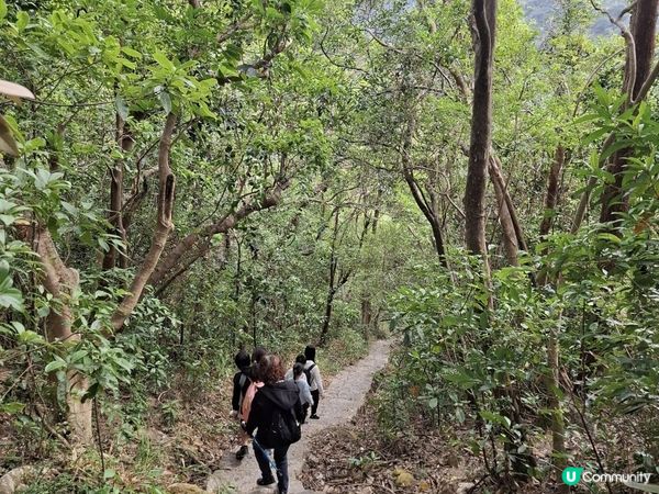 ﹝山系小達人﹞#82 城門下水塘 x 城門峽【荃灣 - 大圍】***挑戰級路線***