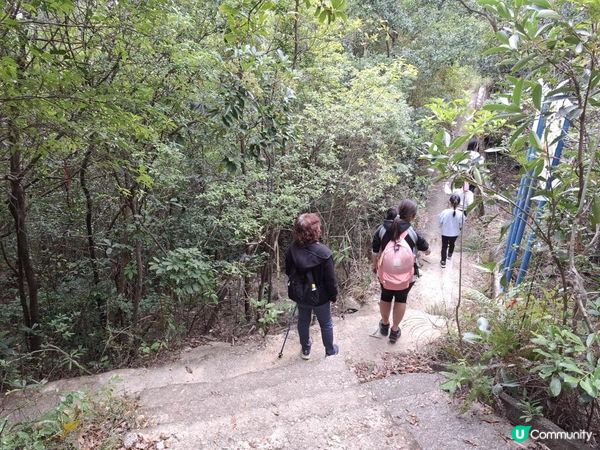 ﹝山系小達人﹞#82 城門下水塘 x 城門峽【荃灣 - 大圍】***挑戰級路線***