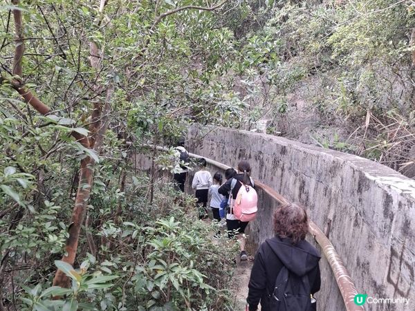 ﹝山系小達人﹞#82 城門下水塘 x 城門峽【荃灣 - 大圍】***挑戰級路線***