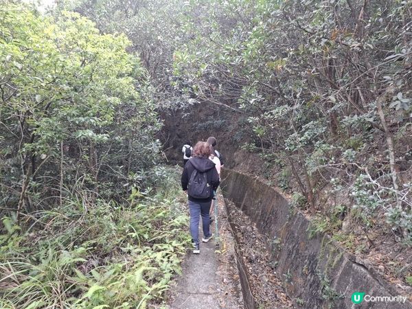 ﹝山系小達人﹞#82 城門下水塘 x 城門峽【荃灣 - 大圍】***挑戰級路線***