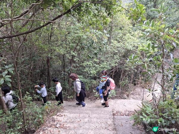 ﹝山系小達人﹞#82 城門下水塘 x 城門峽【荃灣 - 大圍】***挑戰級路線***