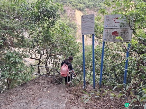 ﹝山系小達人﹞#82 城門下水塘 x 城門峽【荃灣 - 大圍】***挑戰級路線***