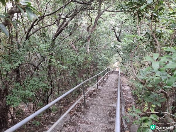 ﹝山系小達人﹞#82 城門下水塘 x 城門峽【荃灣 - 大圍】***挑戰級路線***