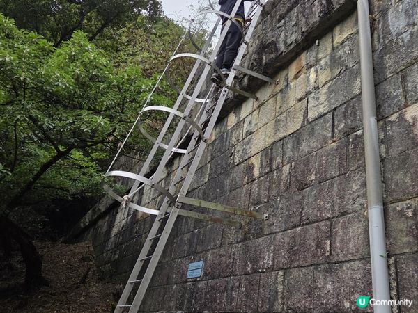 ﹝山系小達人﹞#82 城門下水塘 x 城門峽【荃灣 - 大圍】***挑戰級路線***