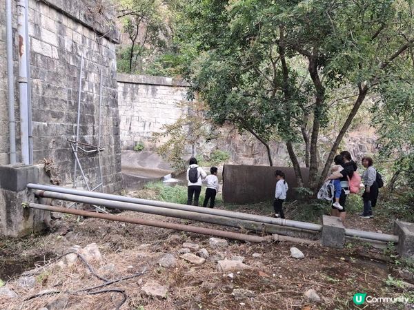 ﹝山系小達人﹞#82 城門下水塘 x 城門峽【荃灣 - 大圍】***挑戰級路線***