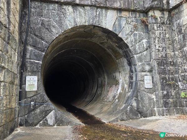﹝山系小達人﹞#82 城門下水塘 x 城門峽【荃灣 - 大圍】***挑戰級路線***