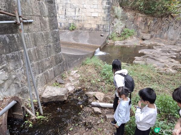 ﹝山系小達人﹞#82 城門下水塘 x 城門峽【荃灣 - 大圍】***挑戰級路線***