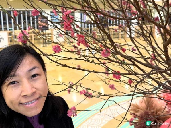 🐎🐎駿馬星馳 錦簇而至🐎🐎