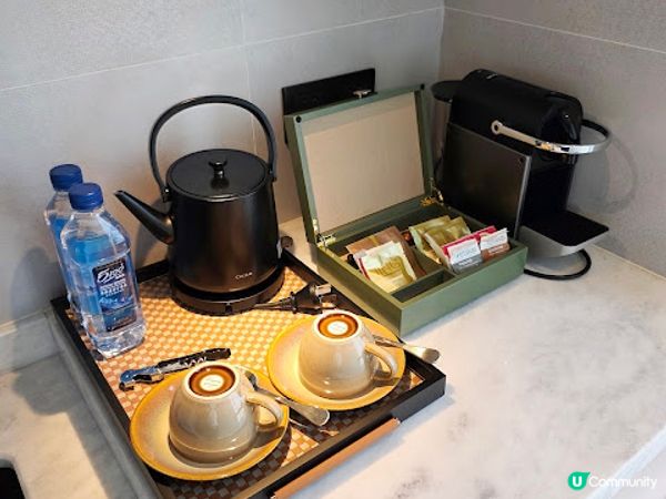 快閃繁花之旅 X 上海自行遊 (DAY 1)(附短片) @ 上海世博木棉花凱悅臻選酒店
