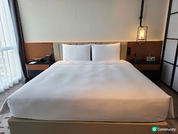 快閃繁花之旅 X 上海自行遊 (DAY 1)(附短片) @ 上海世博木棉花凱悅臻選酒店